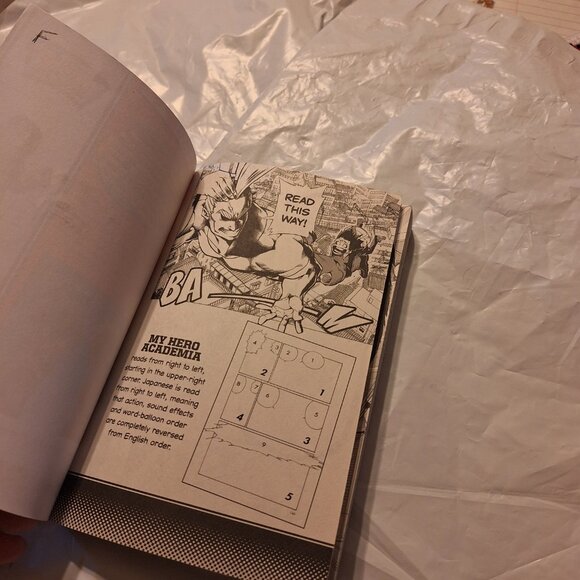 my hero academia volume 2 - Picture 5 of 5